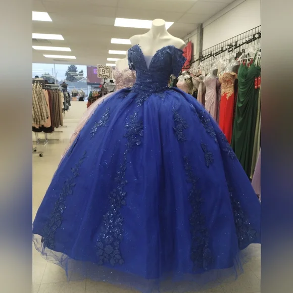 Elegant New Quinceañera Dress - Picture 3 of 11